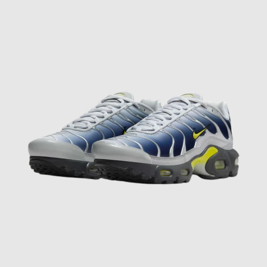 Nike Air Max Plus Obsidian Silver
