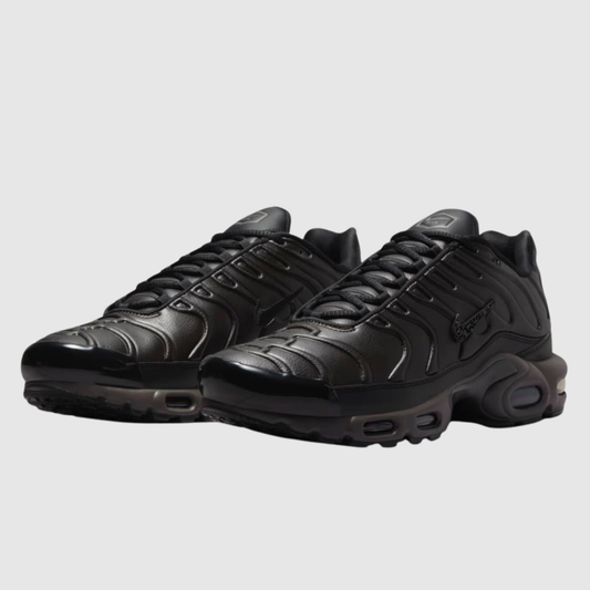 Nike Air Max Plus Premium Paris